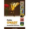 Owady i inne bezkrgowce Encyklopedia il